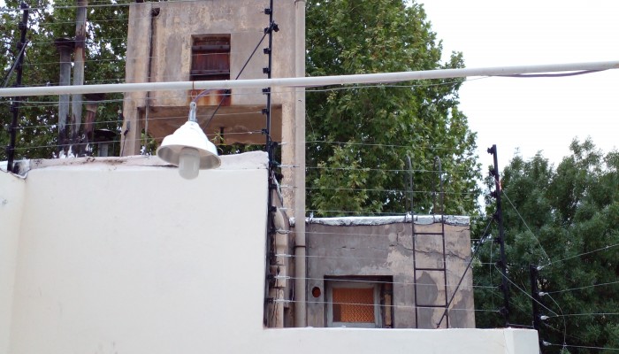Servicios Profesionales