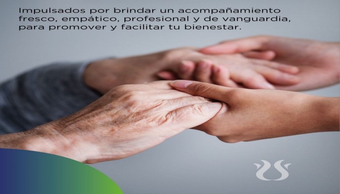 Servicios Profesionales